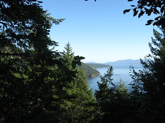 Saanich Inlet Viewpoint, Timberman Trail