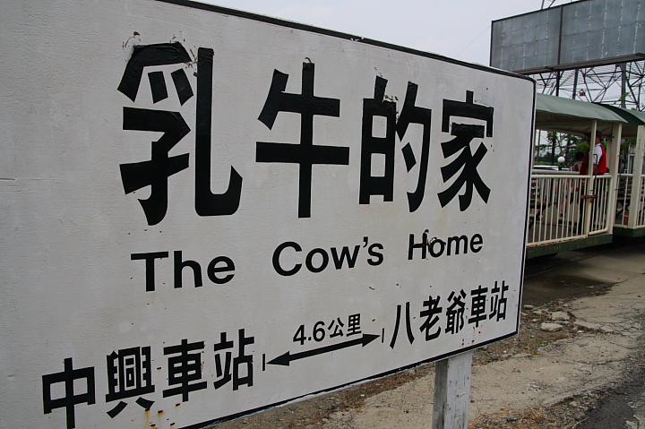 台南柳營八老爺車站（乳牛的家）0063