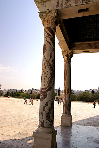 Wild marble columns