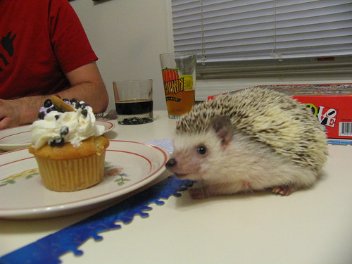 2010-08-10 Cupcake & Hermione
