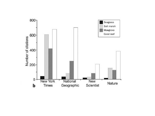 Seagrasses in the media (from Orth et al. 2006)