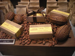 Display at Cacao