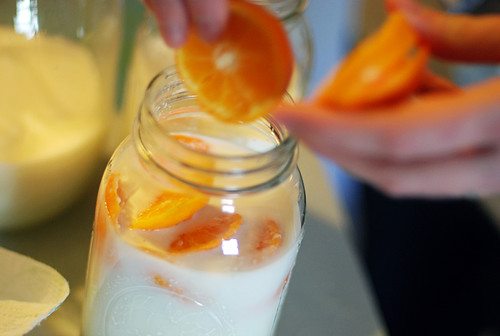 making orange milk liqueurs!