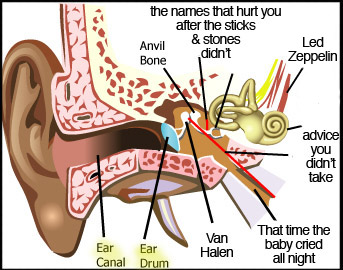 ear-diagram-iambossy