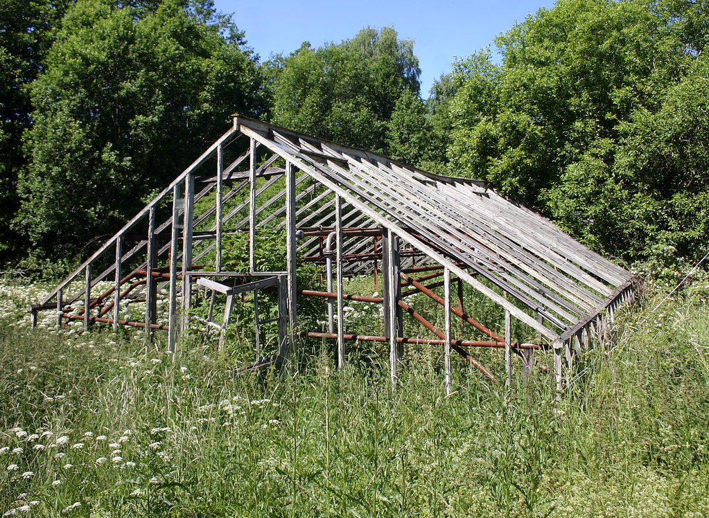 Abandoned Greenhouse Nursery IV