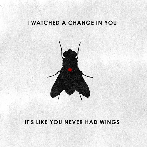 I watched You Change