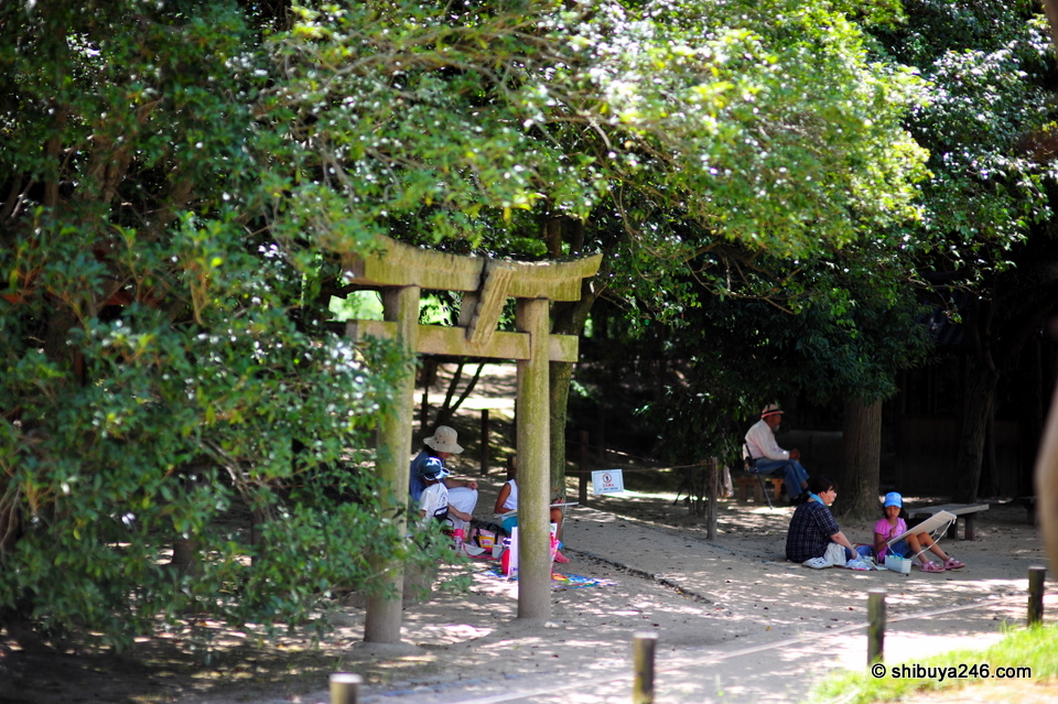 A small Shrine in the park