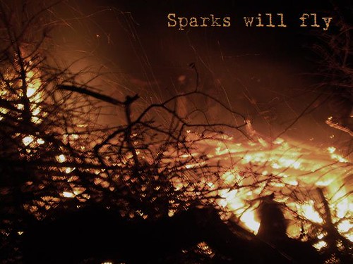 The Hunger Games Fire Photo Sparks