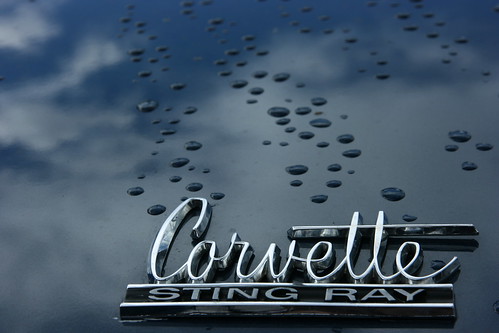 Corvette Stingray Logo. 1965 Chevrolet Corvette Stingray trunk logo wet. 8/22/10.