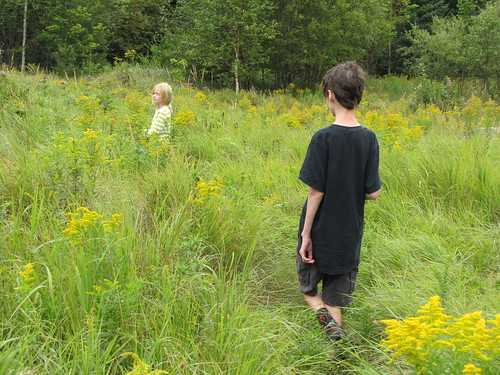 in the meadow at Falls Brook