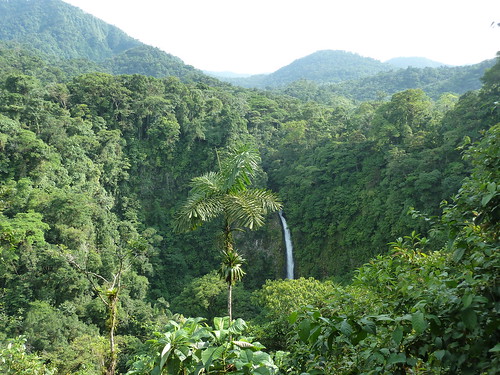 dia 30 Canopy - Rutita por Costa Rica y Bocas (1)