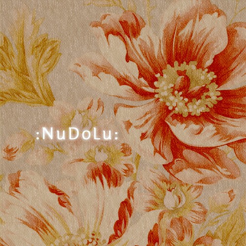 NuDoLu new logo 2011