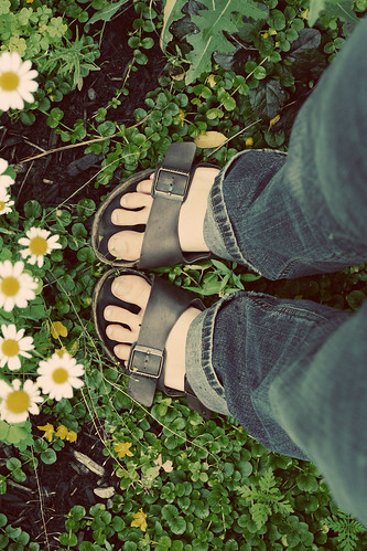 toes in the garden