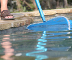 Skimming the pool surface