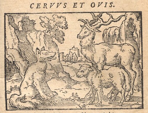 Ovis, Cervus et Lupus - Osius