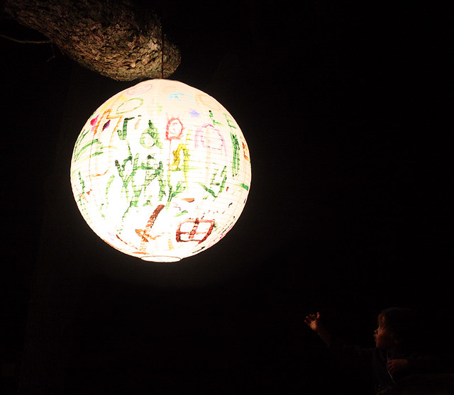 grand illumination lantern in oak bluffs, martha's vineyard