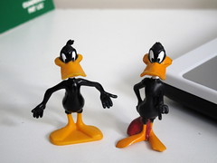 2 x Daffy