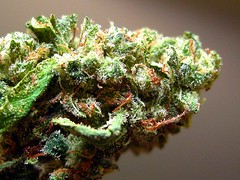 smkn420love has added a photo to the pool:banana is such fire, this shit makes me too high, for once ahahaahaaa(cough cough***) hmmm, this picture is really pretty