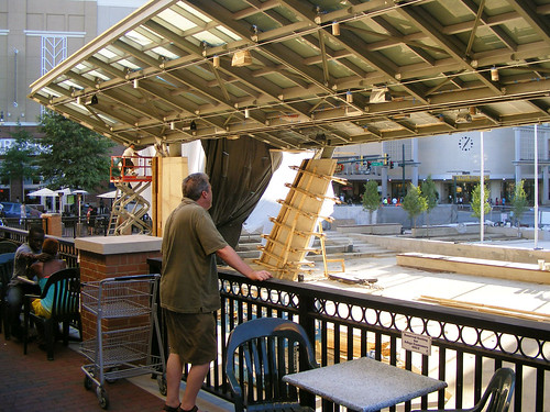 Admiring The Canopy, July 2010