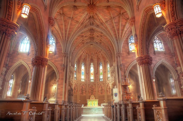 the cathedral of the immaculate conception, albany, new york photo