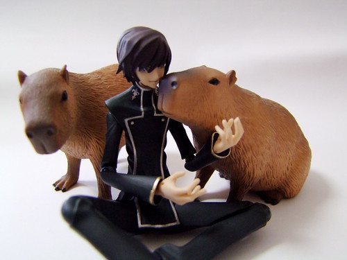 カピとルル山さん/Capybara and  Lelouch