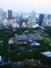 Tokyo 2010 - 芝公園 - 東京タワー(8)