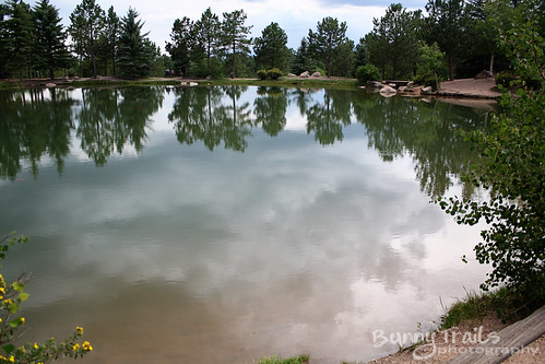 211-lake reflection