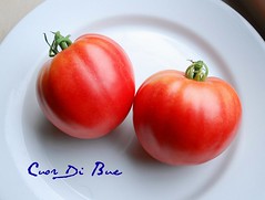 Cuor Di Bue Tomato