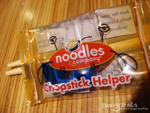 197-chopstick helper