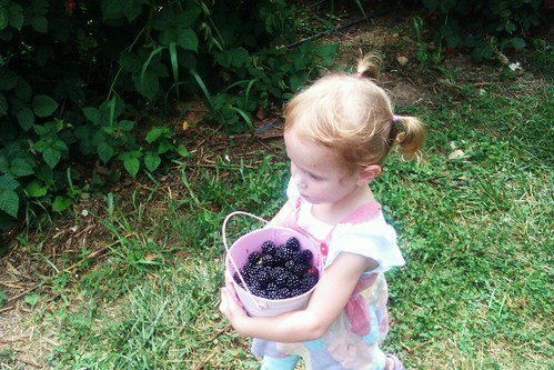 my berries
