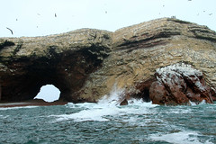 Islas Ballestas - Perú