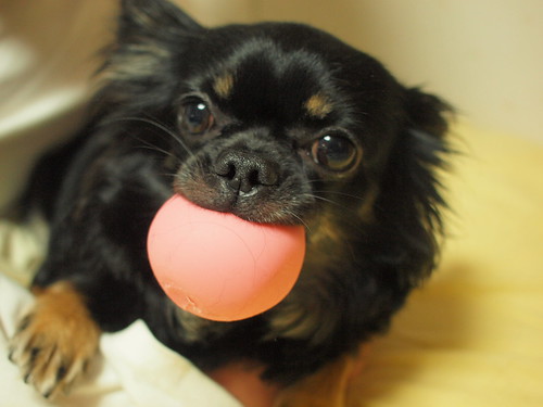 maro eating ball