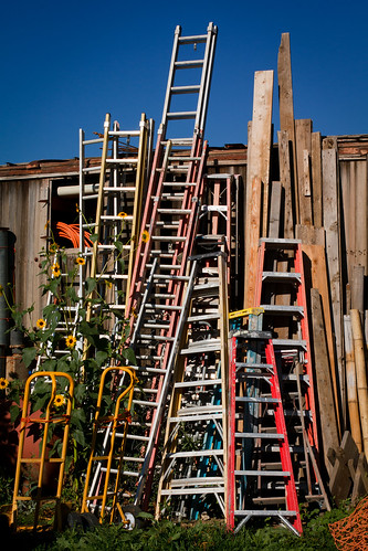Ladders of Success