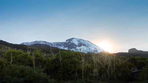 Kilimanjaro 019
