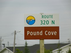 Pound Cove (Medium)