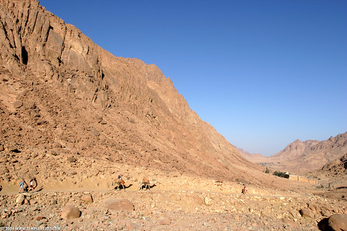 EG04 9098 St. Catherine's Monastery, Mt. Sinai