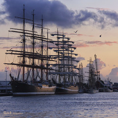 Sail 2010 by gerrit de boorder