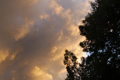 Orange Clouds - 3