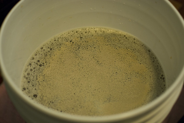 yeast in bucket