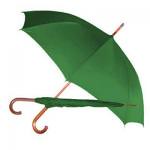 economy-rain-umbrella