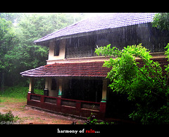 Harmony of rain (Sh@dows) Tags: rain june olympus kerala raining 2007 thrissur mansoon sarin mazha sarinsoman keralarain keralamonsoon pathayapura kanjiratharaveedu mazhakalam