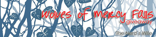 womf giveaway banner copy