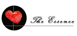 The Essence group 