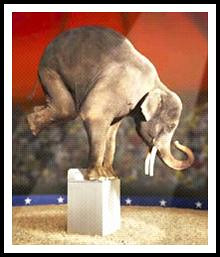 circus-elephant-foot-stand