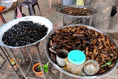 Cambodian roadside snacks: crickest, beetles, bugs