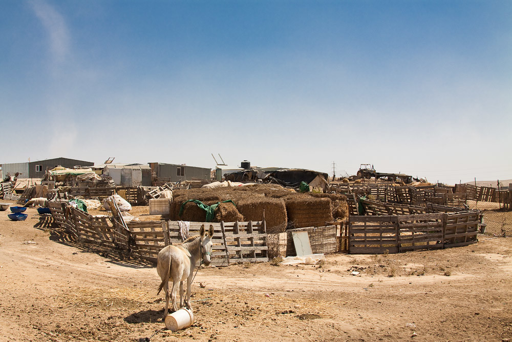 Бедуинское поселение 
