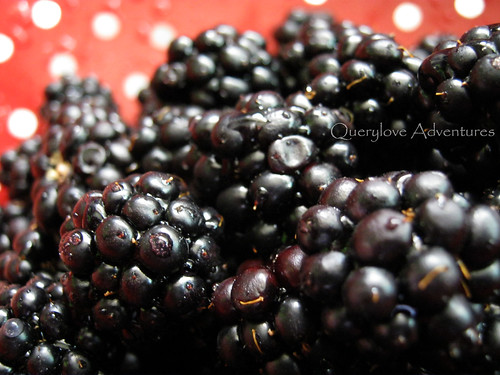 blackerries macro