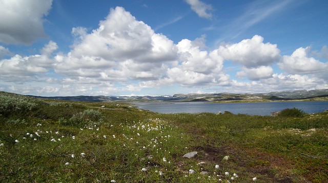 uitzicht over het meer Storekrækkja
