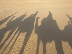 Desert shadows