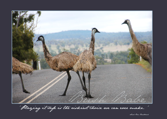 calendar page emus 2E